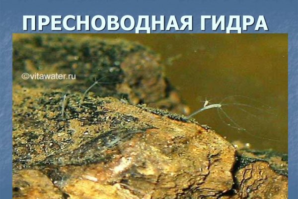 Кракен прямая ссылка