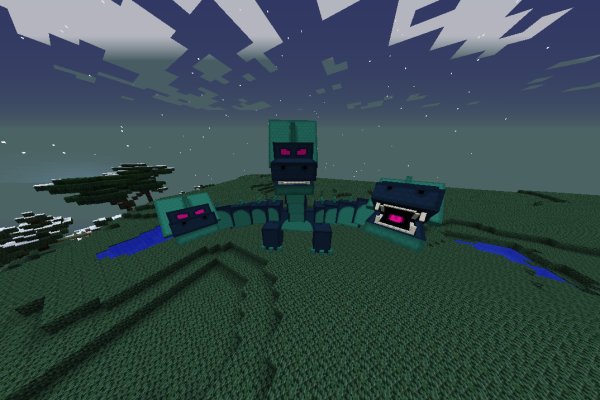Kraken cc