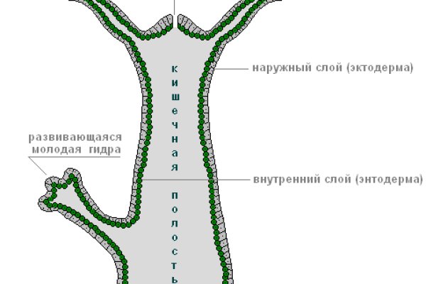 Ссылка на кракен маркет